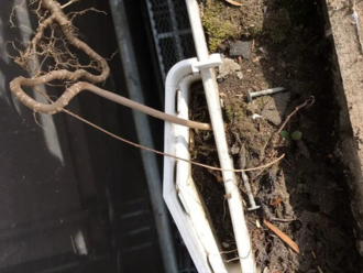 詰まっている集水器